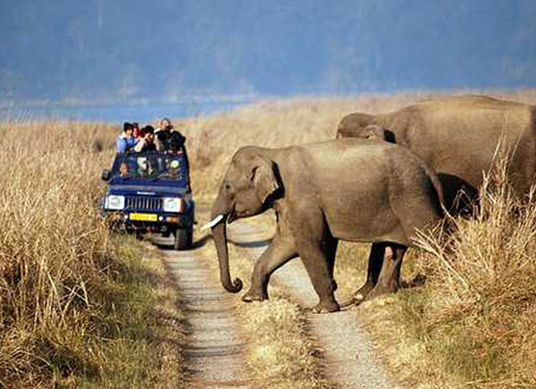 Sariska Tour